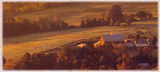 Stories By G. Howell